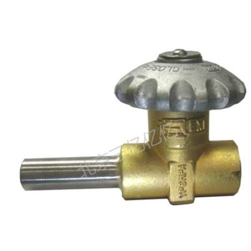 Globe Valve